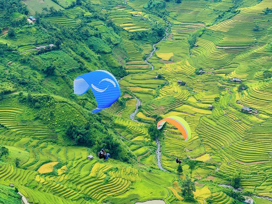 Bay lên mùa vàng mang đến trải nghiệm độc đáo, thú vị cho du khách